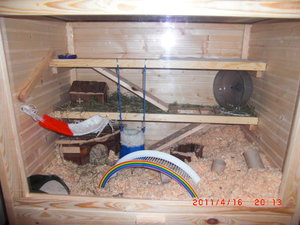 CIMG2040.JPG CIMG2040.JPG