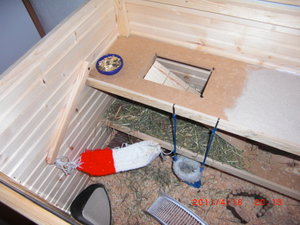 CIMG2042.JPG CIMG2042.JPG