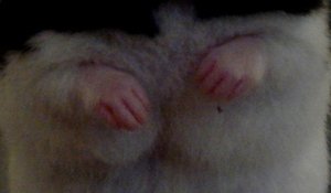 Emily21.JPG Emily21.JPG