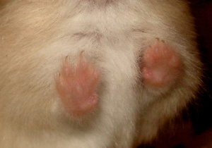 DSC07283.JPG DSC07283.JPG