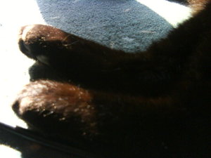 6852168uau.jpg 6852168uau.jpg