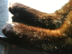 6852169wxy.jpg 6852169wxy.jpg