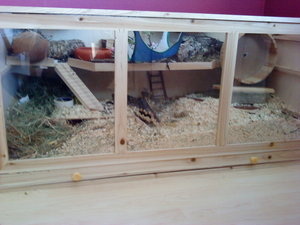 DSC01902.JPG DSC01902.JPG