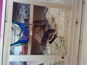 DSC01907.JPG DSC01907.JPG