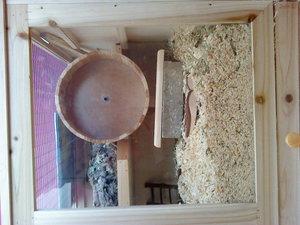 DSC01906.JPG DSC01906.JPG