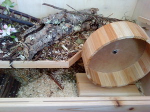 DSC01913.JPG DSC01913.JPG