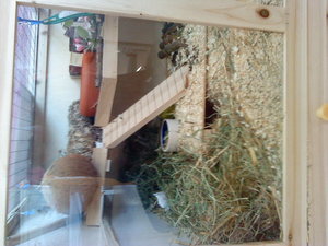 DSC01903.JPG DSC01903.JPG