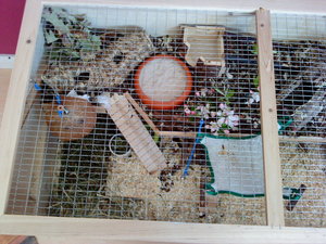 DSC01909.JPG DSC01909.JPG