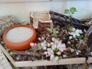 DSC01911.JPG DSC01911.JPG