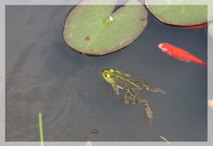 miteinander.jpg miteinander.jpg