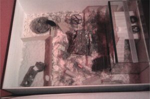 ich mit new cam 1171.jpg