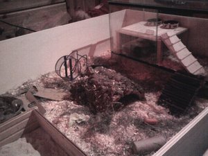 ich mit new cam 1172.jpg