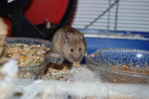 DSC_8909 - Kopie.JPG