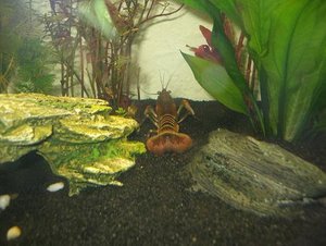 schÃ¶ner rÃ¼cken.JPG