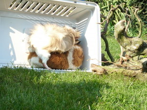 6892594jrs.jpg 6892594jrs.jpg