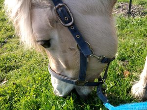 Foto1168.jpg Foto1168.jpg