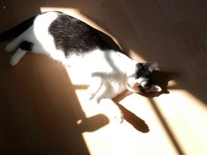 Foto1221.jpg Foto1221.jpg