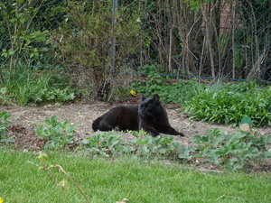 6892595fth.jpg 6892595fth.jpg