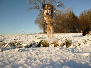 hfhqosn6.jpg hfhqosn6.jpg