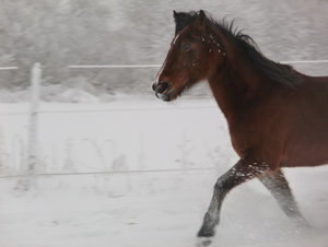 f4dzgljl.jpg f4dzgljl.jpg