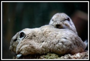 Bild9 (Small).jpg Bild9 (Small).jpg