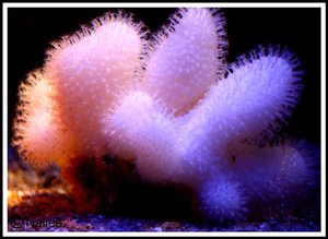 Bild13 (Small).jpg Bild13 (Small).jpg