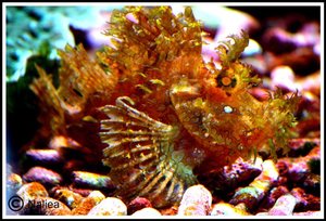 Bild16 (Small).jpg Bild16 (Small).jpg