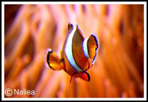 Bild15 (Small).jpg Bild15 (Small).jpg