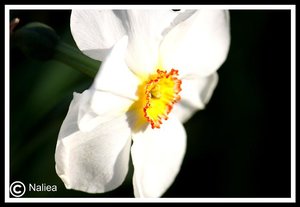 Bild12 (Small).jpg Bild12 (Small).jpg