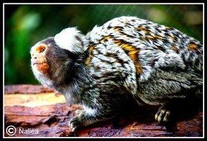 Bild8 (Small).jpg Bild8 (Small).jpg