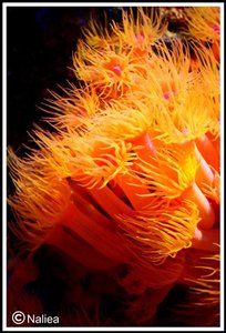 Bild2 (Small).jpg Bild2 (Small).jpg