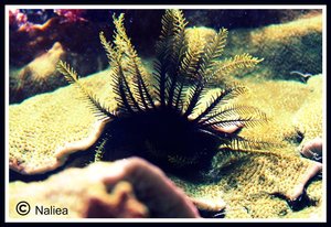 Bild5 (Small).jpg Bild5 (Small).jpg