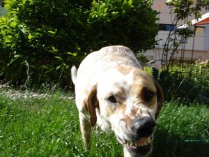 K640_DSC03655.JPG K640_DSC03655.JPG