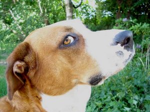 K640_kessi frühling.JPG K640_kessi frühling.JPG