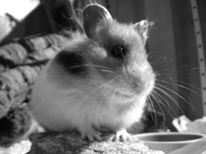 DSCN6903.jpg DSCN6903.jpg