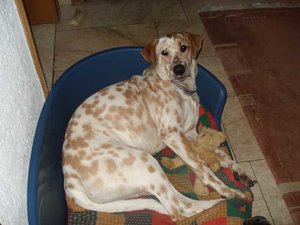 K640_Gina im kÃ¶rpchen.JPG