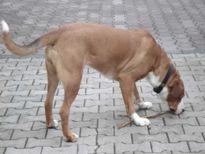 K640_kessi bei da halle.JPG