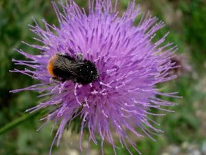 K640_DSC00369_kontr.JPG K640_DSC00369_kontr.JPG