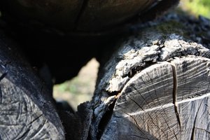 Bäume.jpg Bäume.jpg