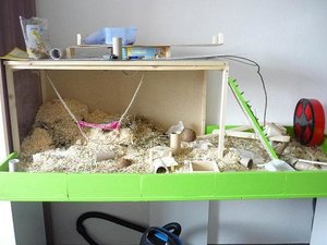 P1020945 - Kopie - Kopie.JPG