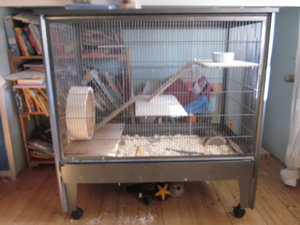 IMG_0402.jpg IMG_0402.jpg