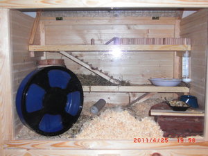 CIMG2060.JPG CIMG2060.JPG