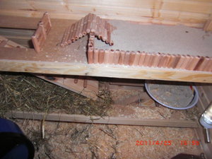 CIMG2061.JPG CIMG2061.JPG