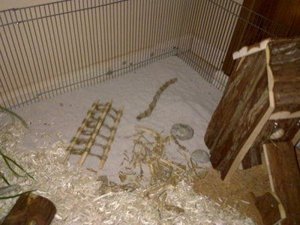 Bild1110.jpg Bild1110.jpg