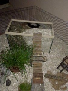 Bild1111.jpg Bild1111.jpg