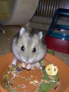 Bild1103.jpg Bild1103.jpg