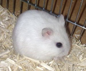 Bild1070.jpg Bild1070.jpg