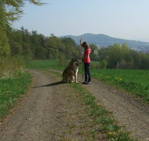 Ruby und Rocky Ãœbung am Waldrand.JPG
