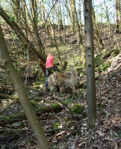 Ruby und Rocky was ist da versteckt.JPG