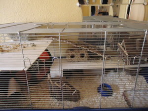 DSC00978.JPG DSC00978.JPG